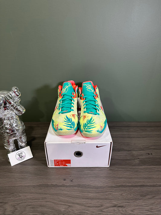 LeBron 9 Low LeBronald Palmer 2022