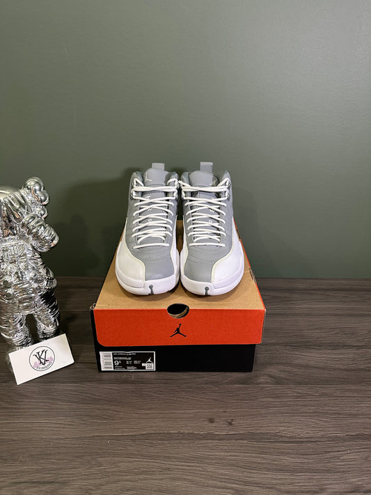 Jordan 12 Stealth