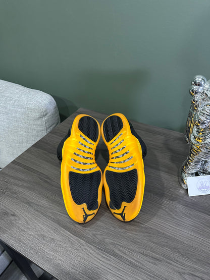 Jordan 12 Black University Gold