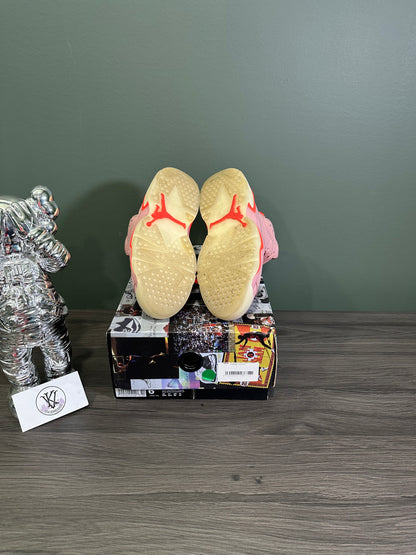Jordan 6 Aleali May
