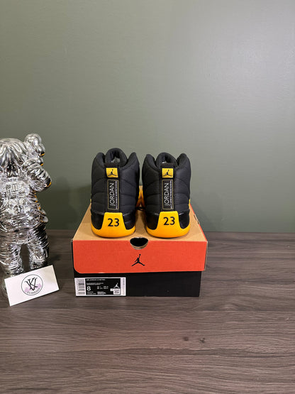 Jordan 12 Black University Gold