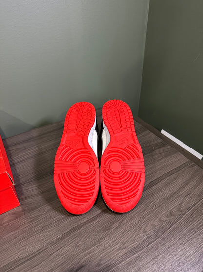 Dunk Low EMB NBA 75th Anniversary Chicago