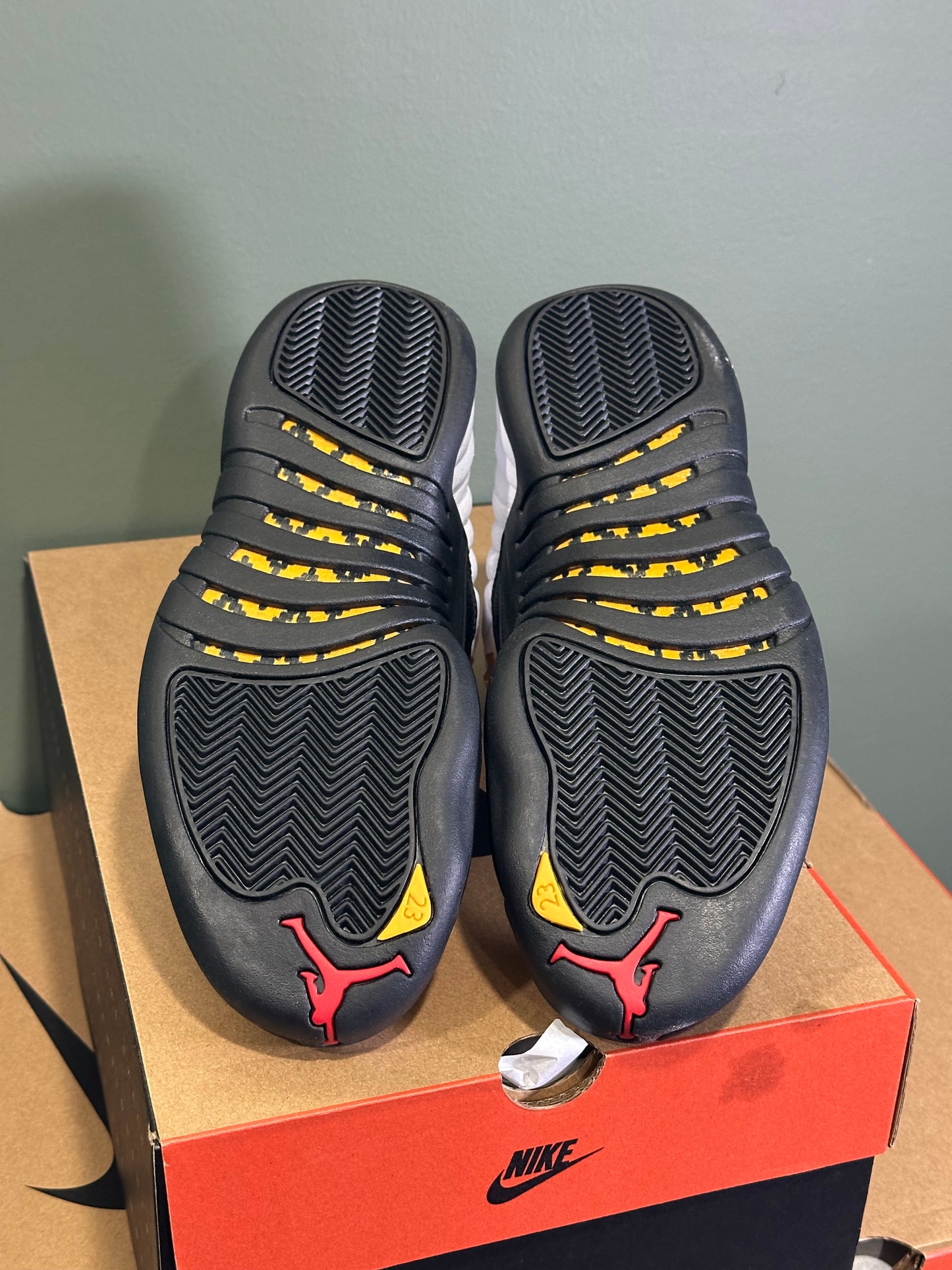 Jordan 12 Taxi 2025