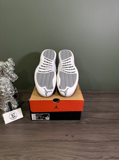 Jordan 12 Stealth