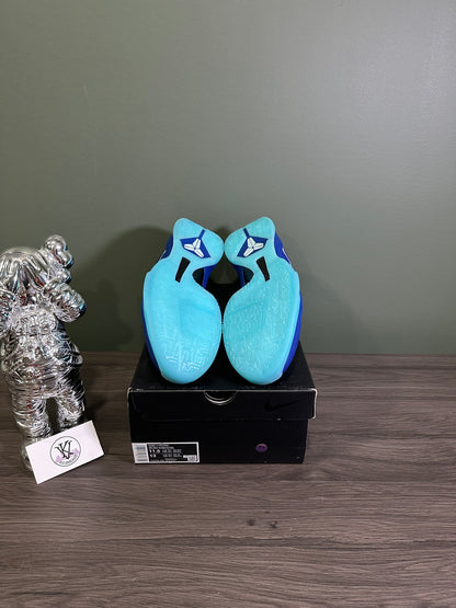 Kobe 5 Protro X-Ray