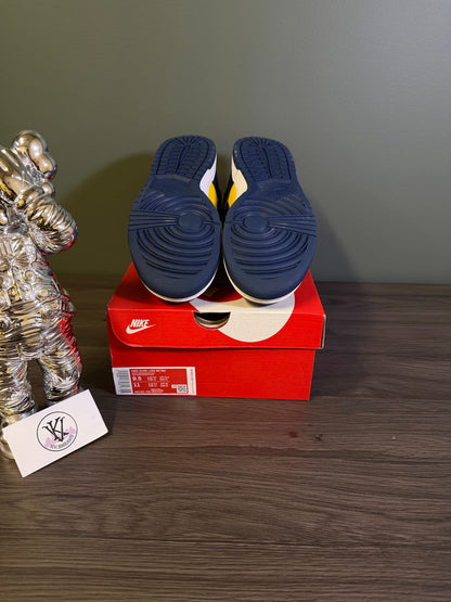 Nike Dunk Low Michigan (2021)