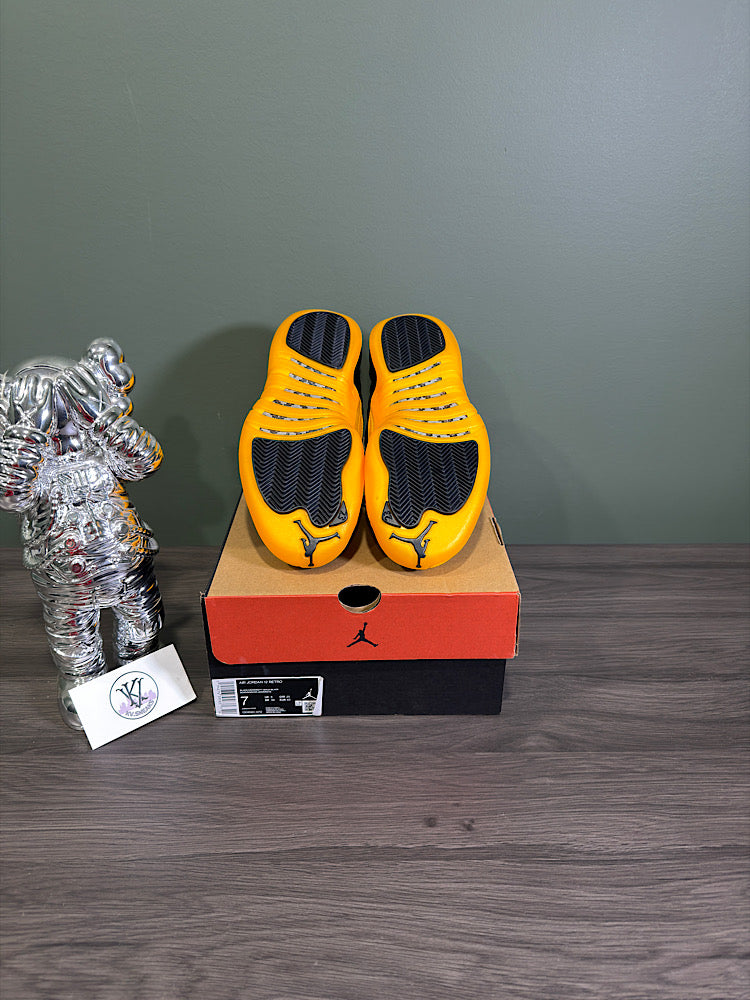 Jordan 12 Black University Gold