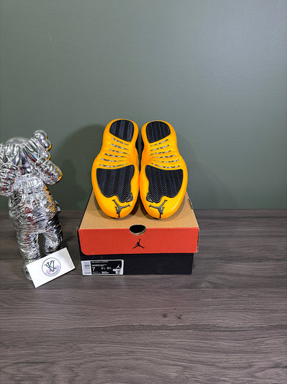 Jordan 12 Black University Gold