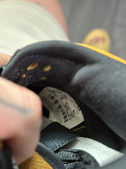 Dunk Low SB Goofy Boy