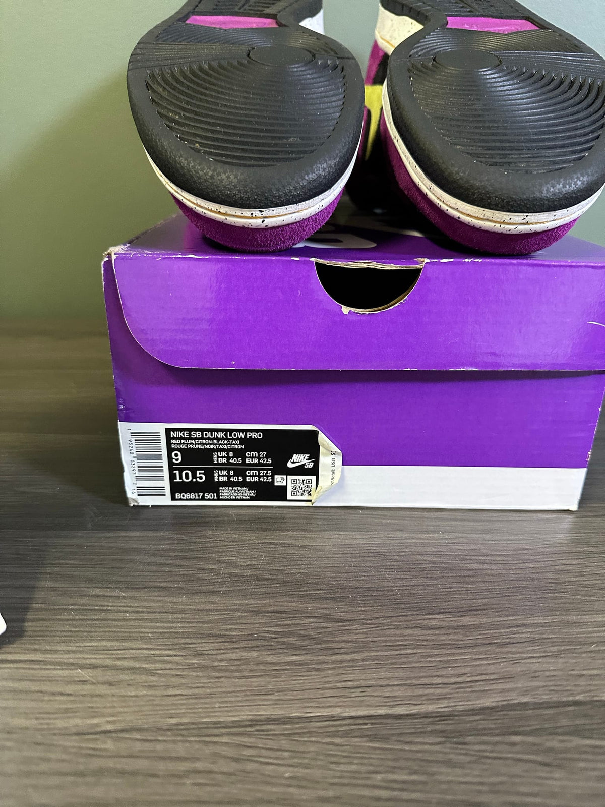 Nike SB Dunk Low Pro ACG Terra Red Plum