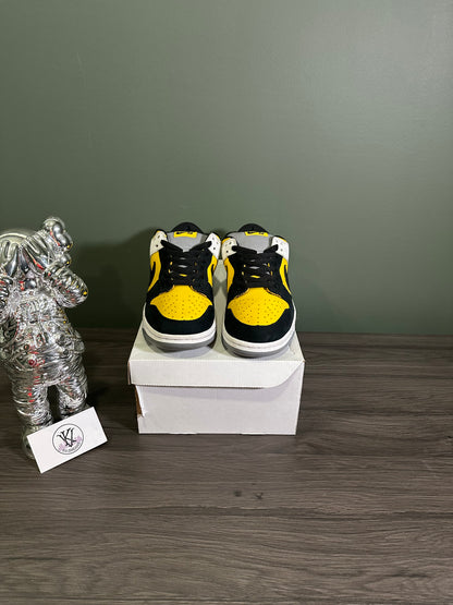 Dunk Low SB Bic