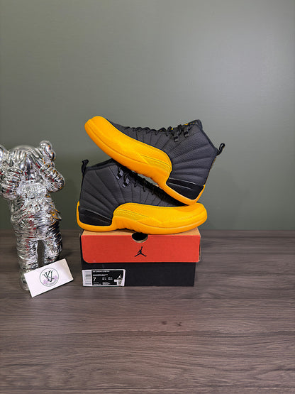 Jordan 12 Black University Gold