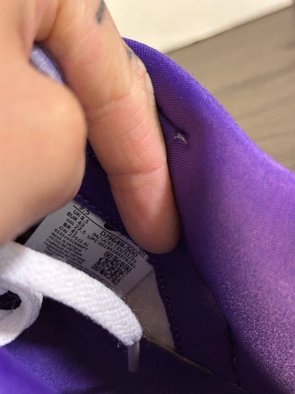 Nike Dunk Low Union Passport Pack Court Purple