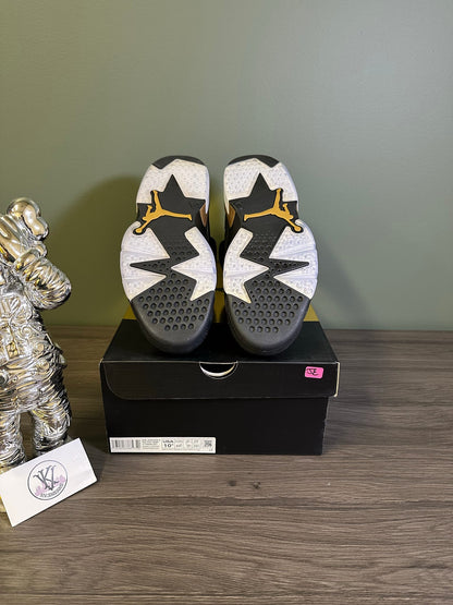 Jordan 6 Retro DMP (2020)