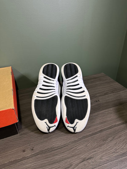 Jordan 12 Playoffs 2022