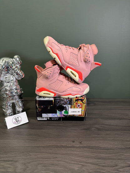 Jordan 6 Aleali May