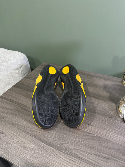 Kobe 9 Low Bruce Lee
