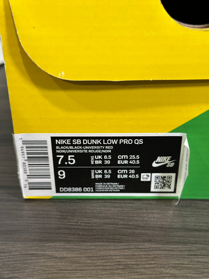 Dunk Low SB Wasted Youth
