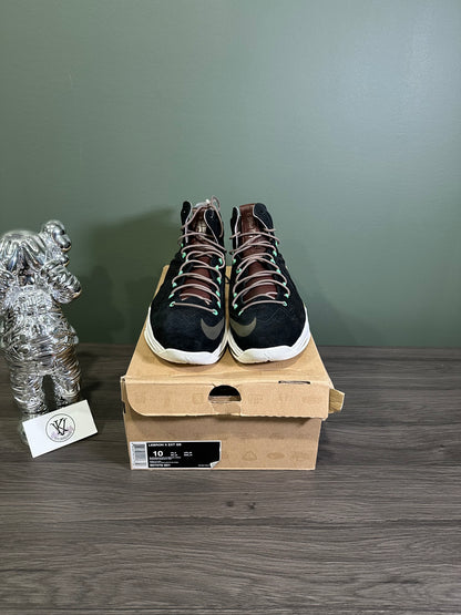 LeBron EXT Black Suede