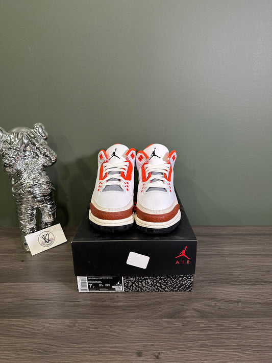 Jordan 3 SE Dunk On Mars (GS)